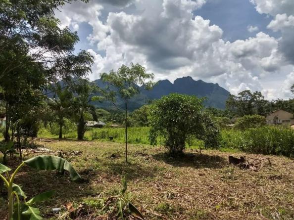 Terreno - São Jõao da Graciosa - Morretes