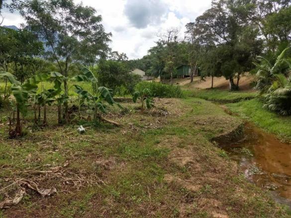 Terreno - São Jõao da Graciosa - Morretes - Foto 7
