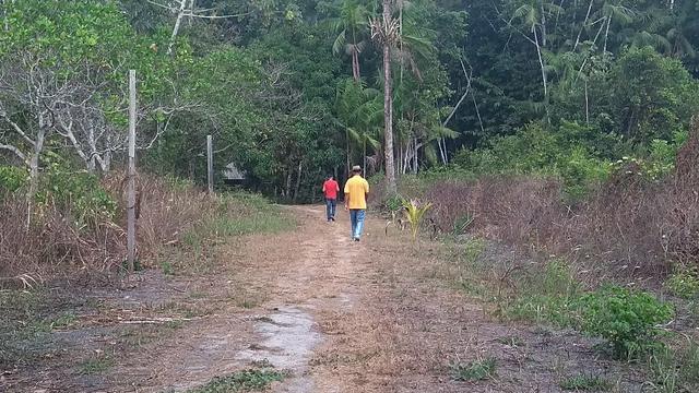 50 hectares a 25 km de castanhal por 250 mil zap * - Foto 7