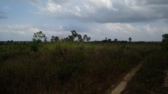 50 hectares a 25 km de castanhal por 250 mil zap * - Foto 10