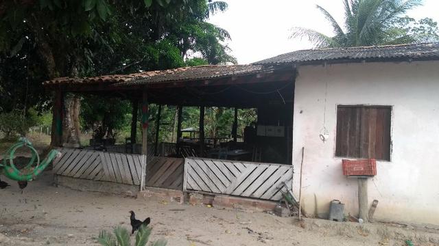 50 hectares a 25 km de castanhal por 250 mil zap * - Foto 13
