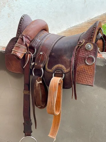 Traia de cavalo  +63 anúncios na OLX Brasil