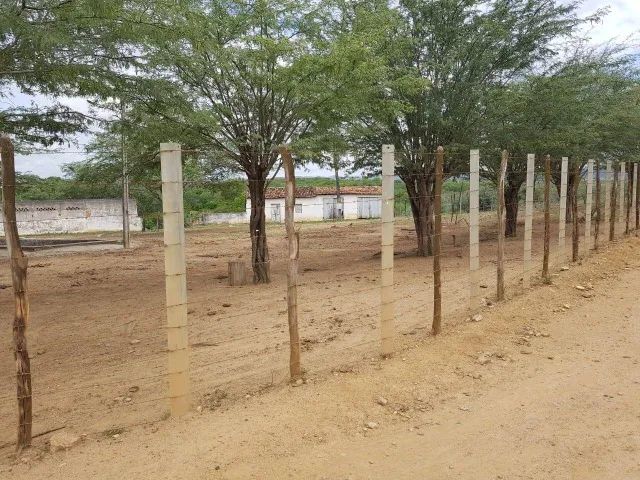 Fazenda em Belo Jardim/PE à Venda (FA0073-PV)  - Foto 5