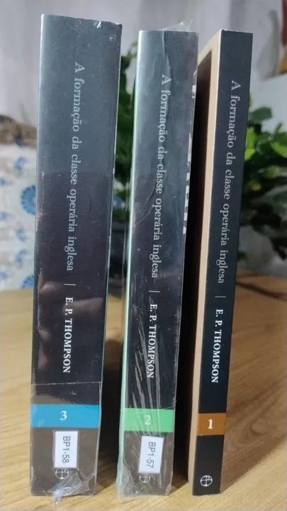 A formação da classe operária inglesa, Volumes 1, 2 e 3 (Completo) NOVO/LACRADOS - Foto 4