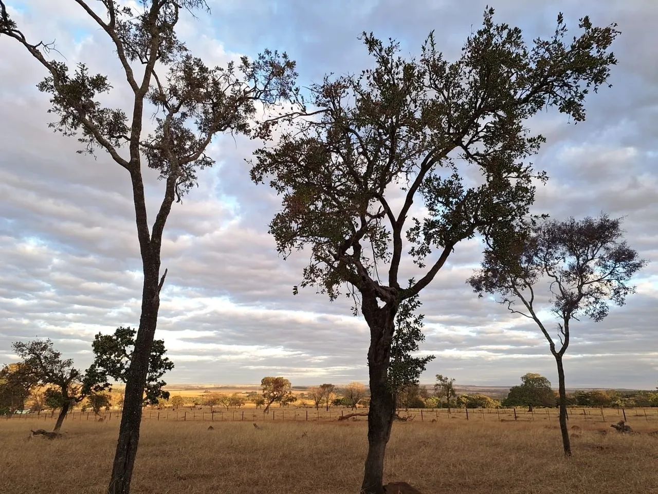 Chácara 2,5 km de Bela Vista de Goiás.  - Foto 8