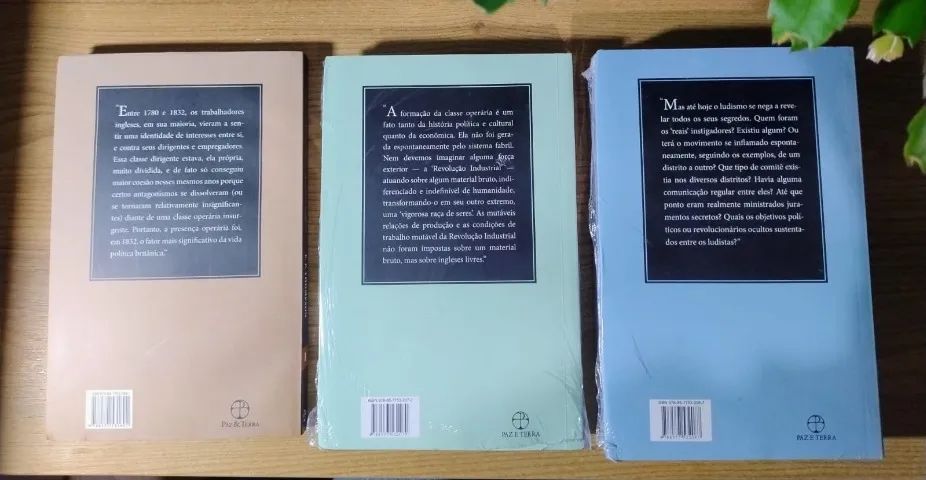 A formação da classe operária inglesa, Volumes 1, 2 e 3 (Completo) NOVO/LACRADOS - Foto 2