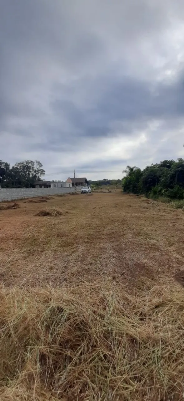 Vendo terreno Gamboa sfs