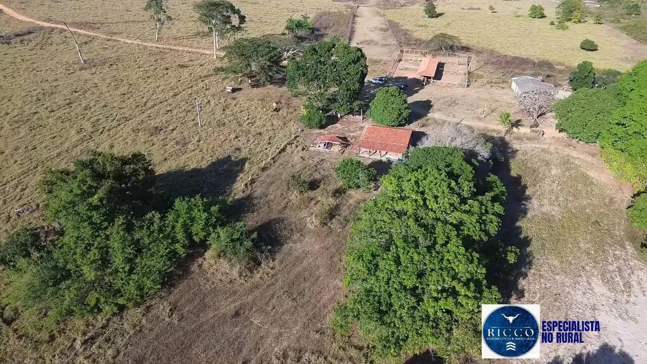 Fazenda à venda na Região de Araguaiana | MT - 1.606 Hectares