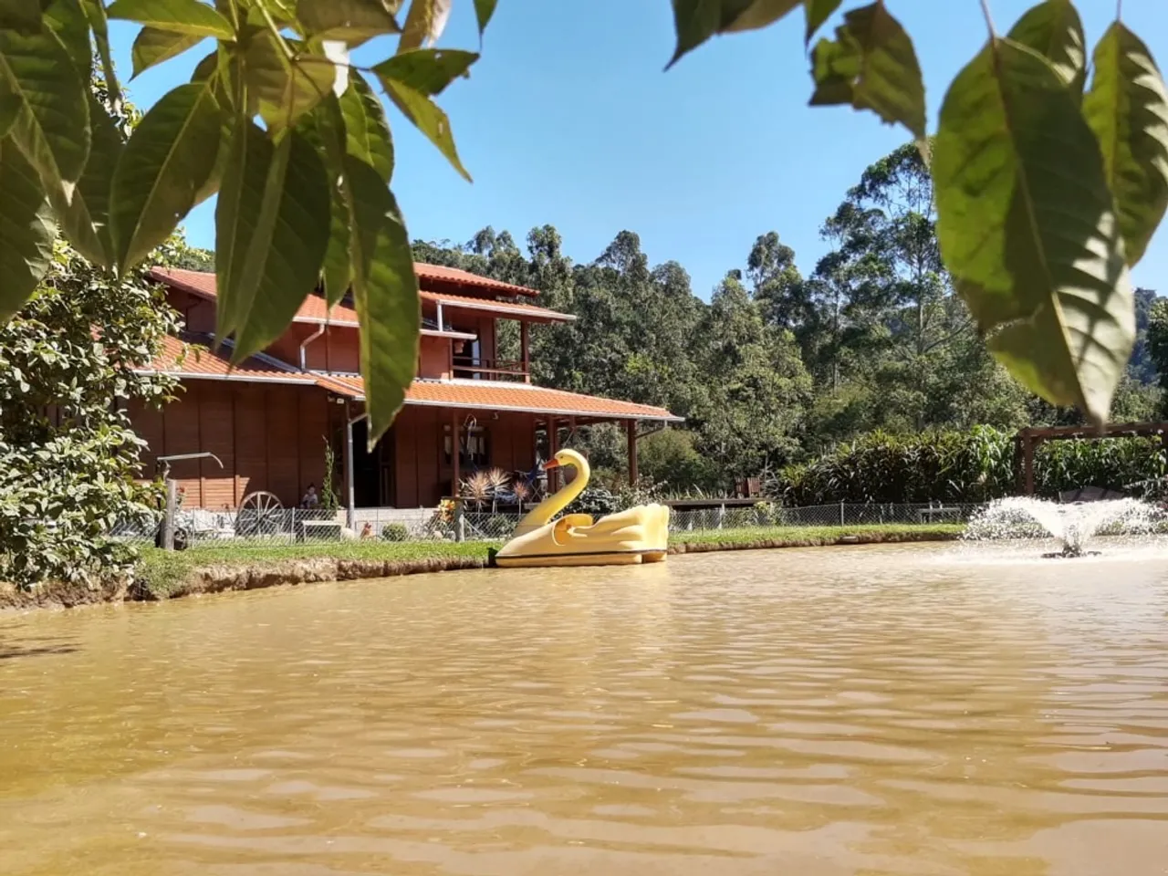 Sítio a Venda no Bairro Warnow em Indaial-SC