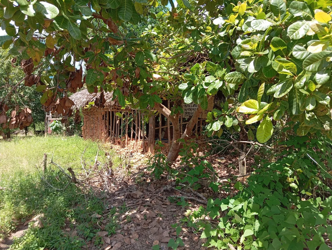 LOTE 10 X 30 NA PALMARES 2