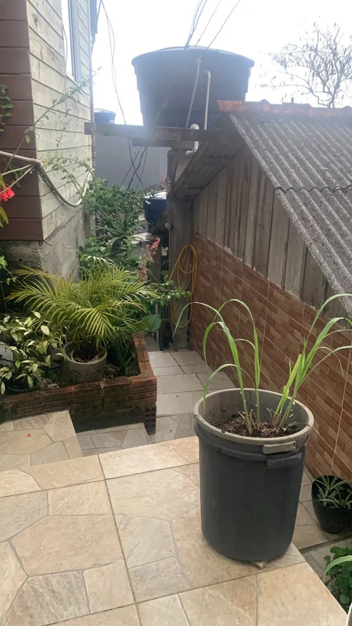 Foto - Florianópolis - Itacorubi