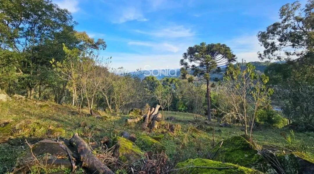 2 hectares com vista privilegiada  - Foto 4