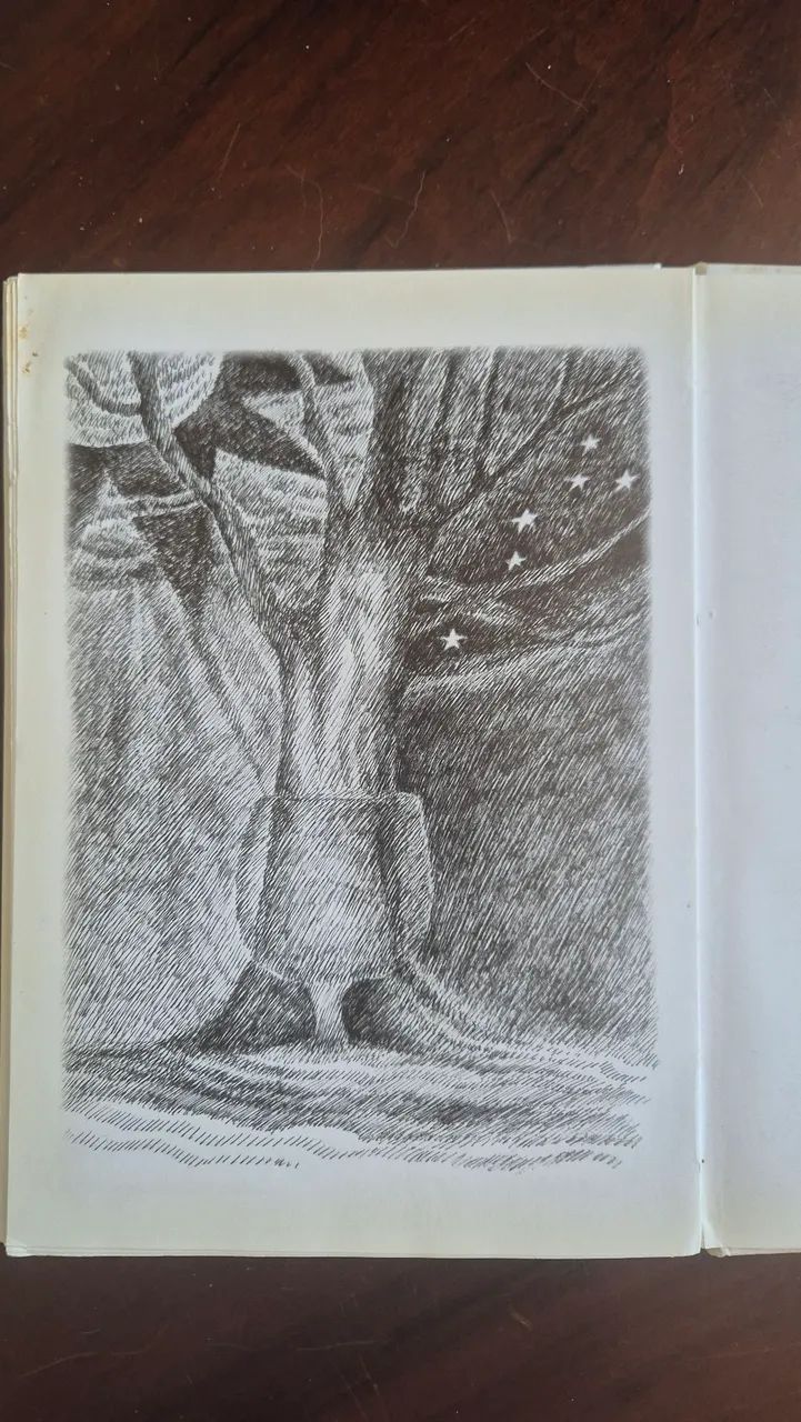 Livro "Os aprendizes" de Rosa Campos - Foto 3