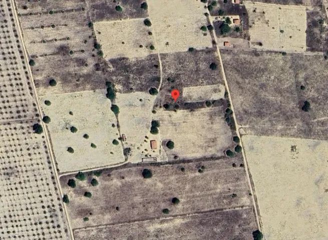 Terrenos para sítio a 8 minutos do centro de Lagoa Nova - Foto 2