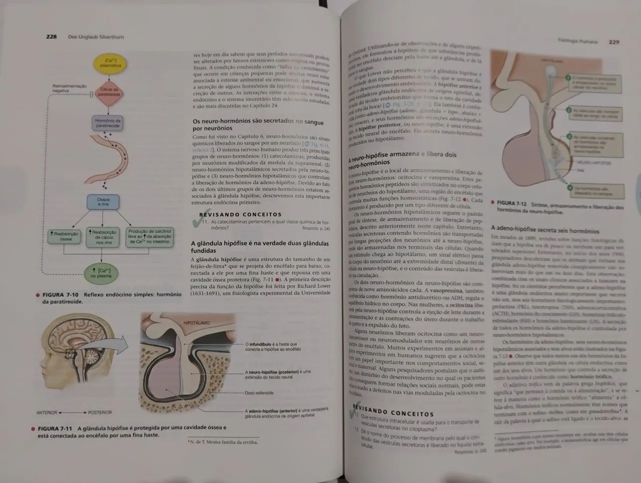 Fisiologia Humana 5ª edição - Dee Unglaub Silverthorn - Foto 3