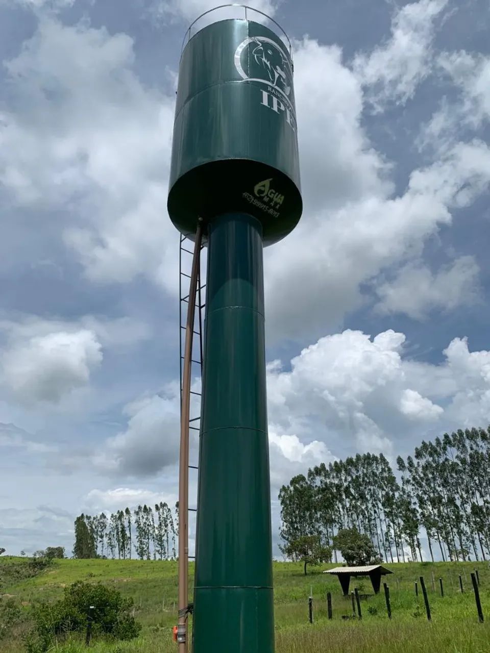 Chácara 1 alqueire ( gameleira de Goiás) - Foto 5