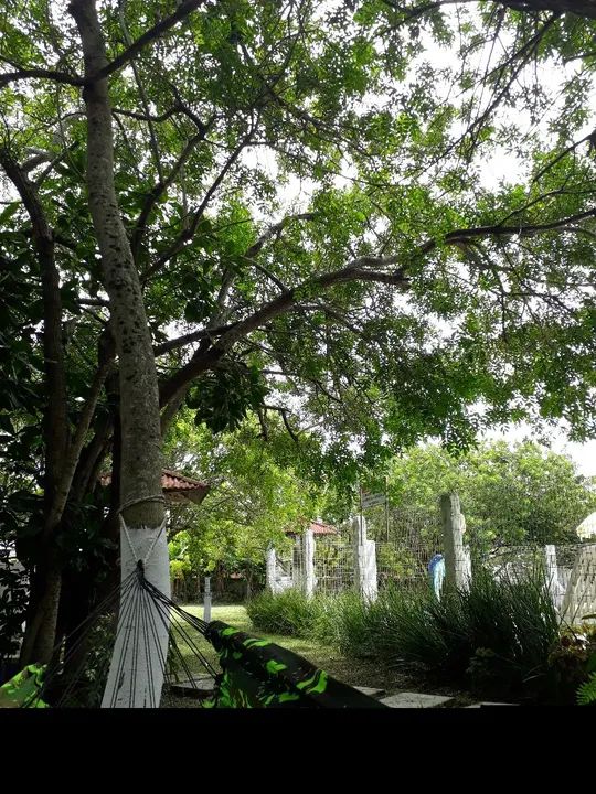 Veraneio capão da canoa rs  - Foto 14