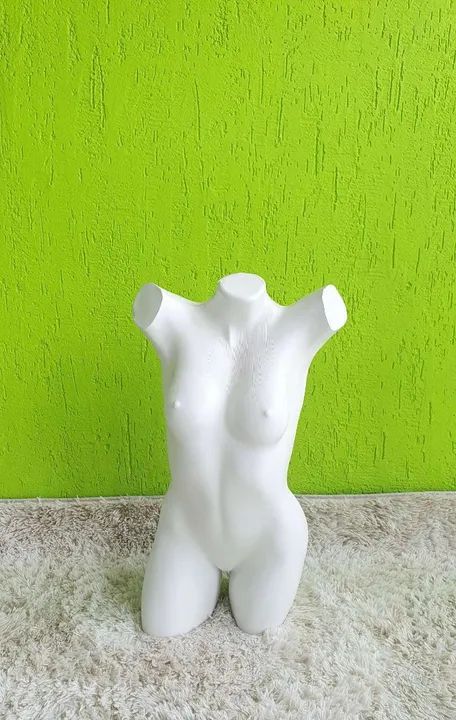 Busto Cláudia Raia 