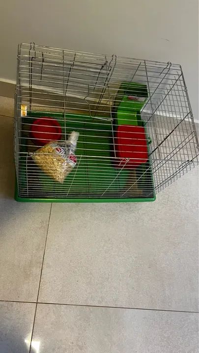 Gaiola para roedores