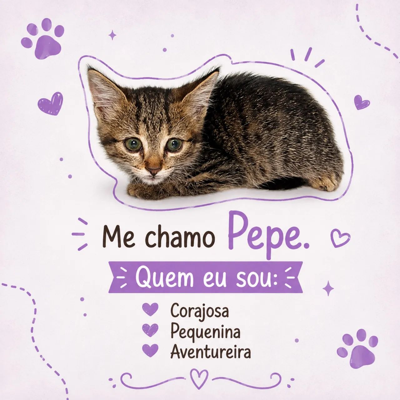 Gatinhos para adoção  - Foto 3
