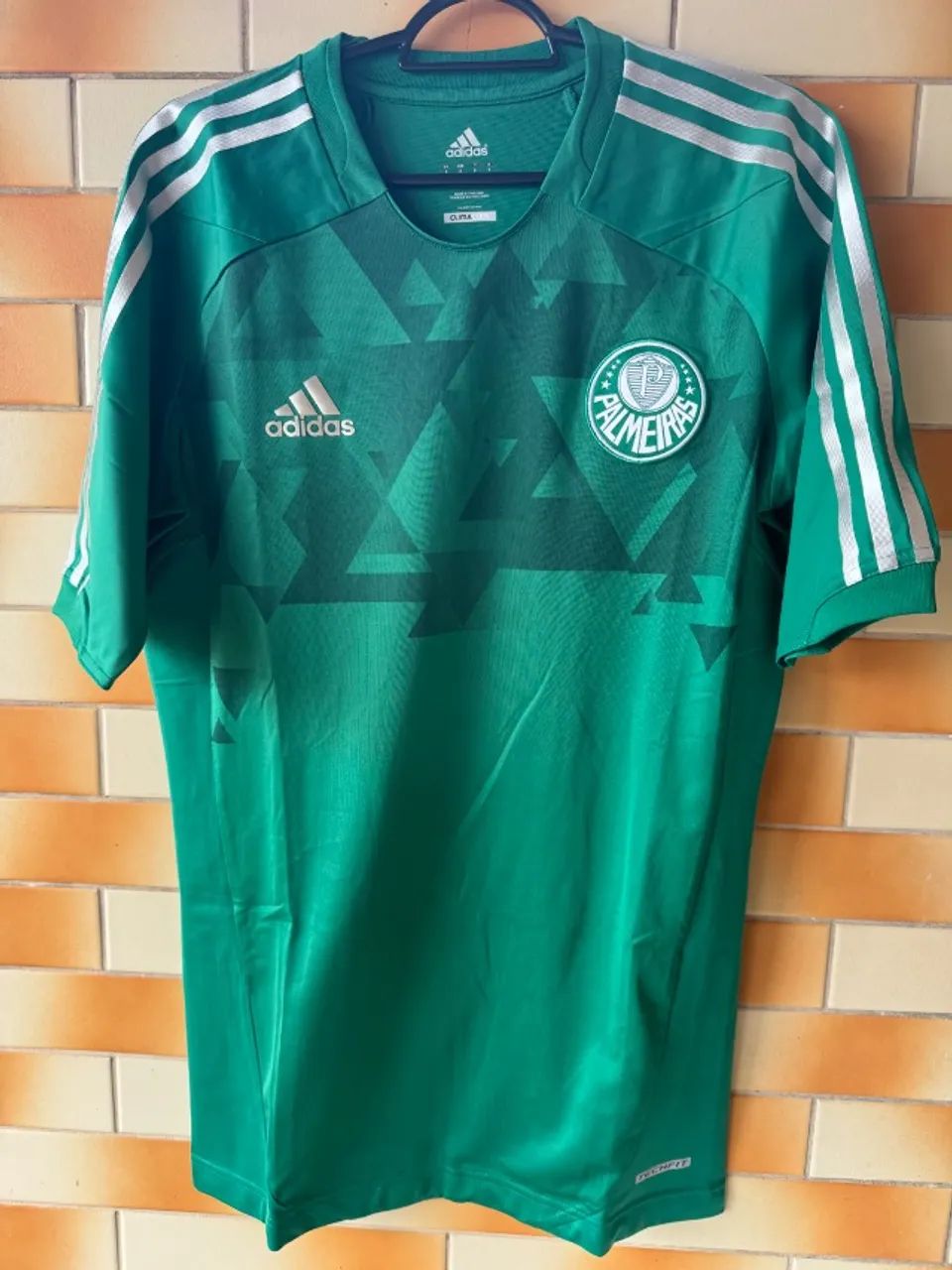 Palmeiras 2012