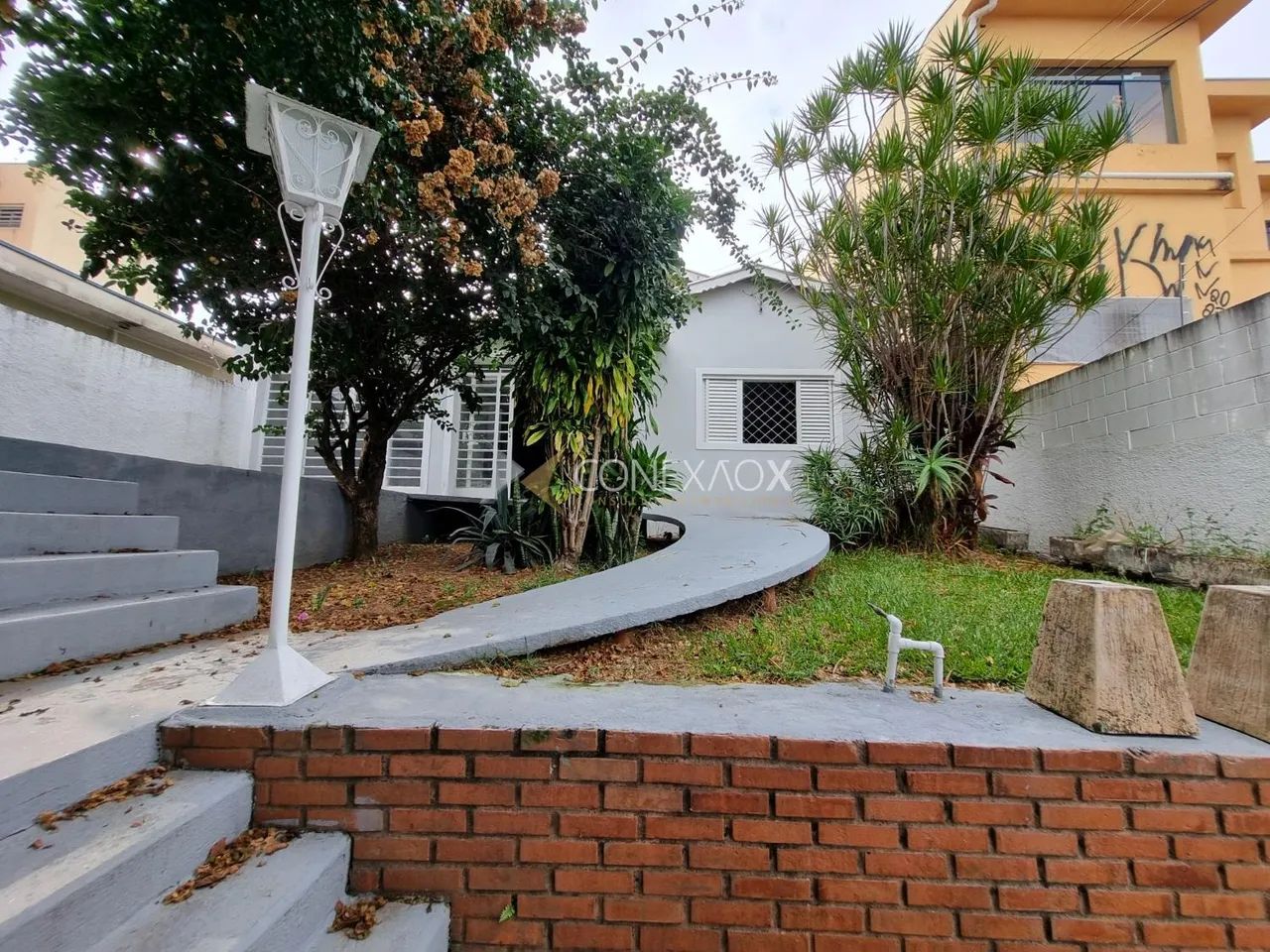 casa - Jardim Proença - Campinas