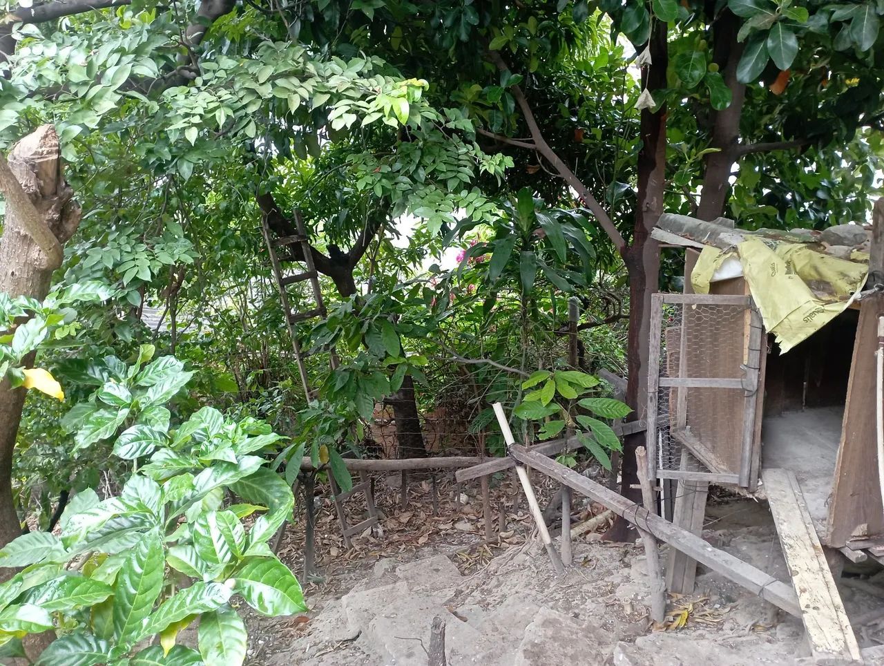 Excelente casa em bairro Teresópolis  - Foto 5