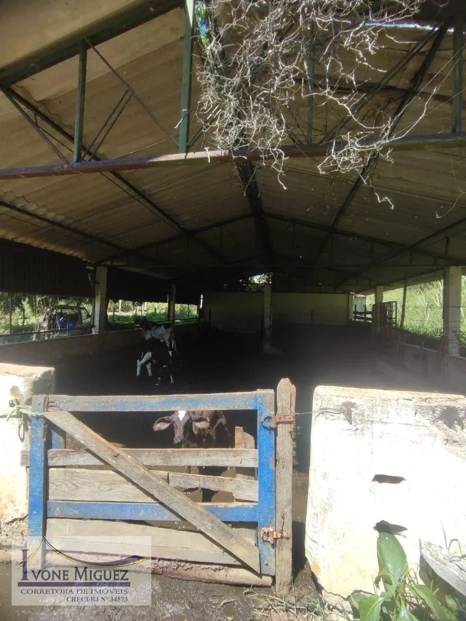 Chácara em Pocinho - Vassouras - Foto 4