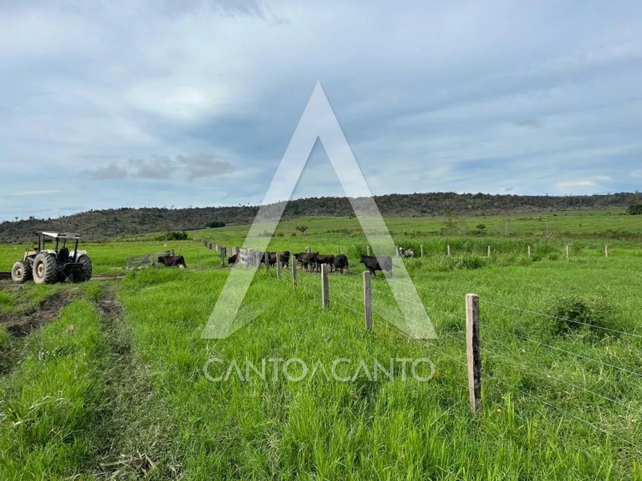 Imóvel Rural - Foto 2