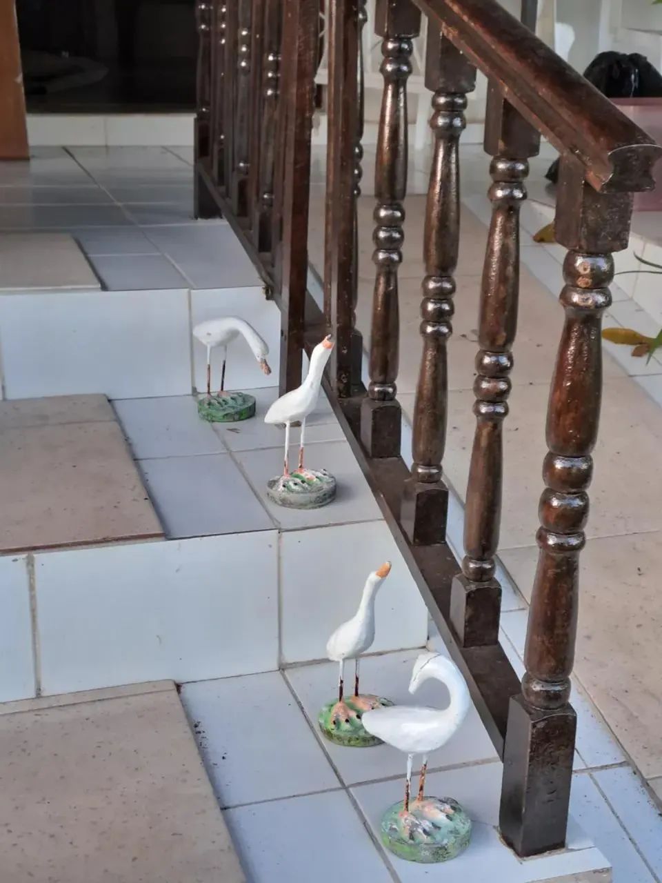 VENDO - TERRENO/CASA - 5 SUITES - MUMBABA - Foto 3