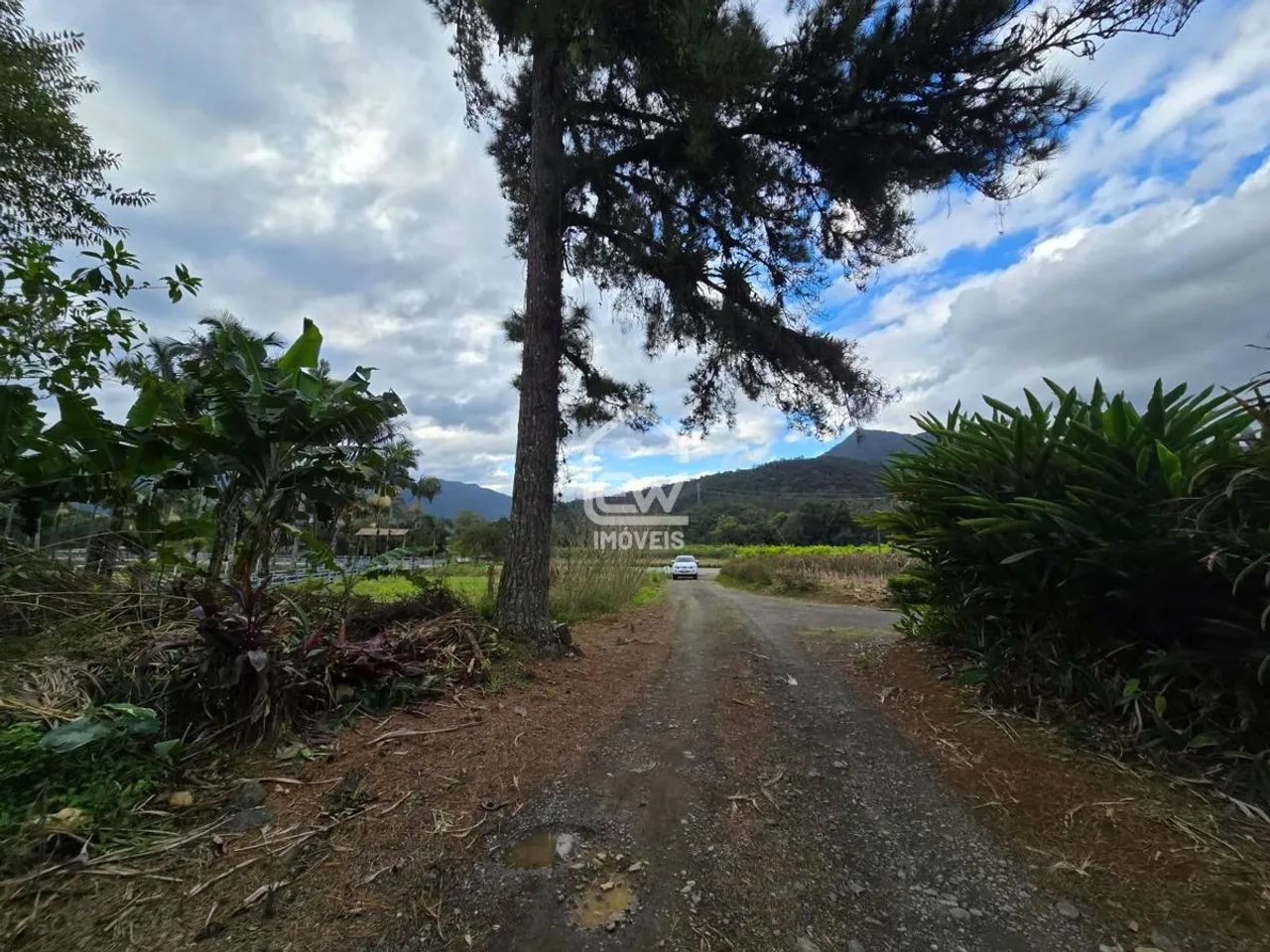 Chácara com 25.528m² em Schroeder/SC - Foto 3