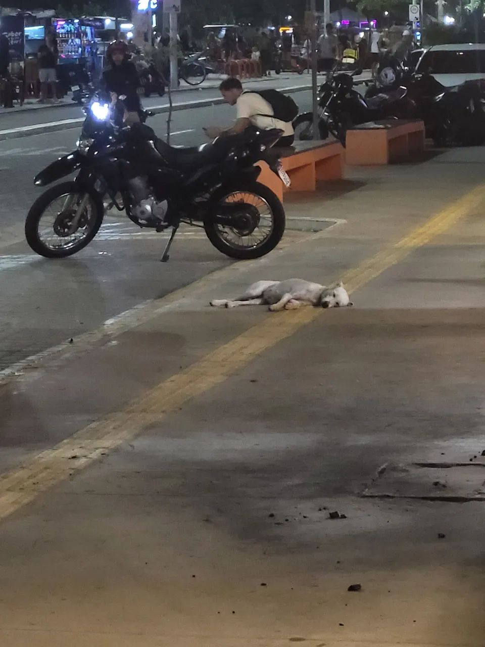 Doação responsável  - Foto 3