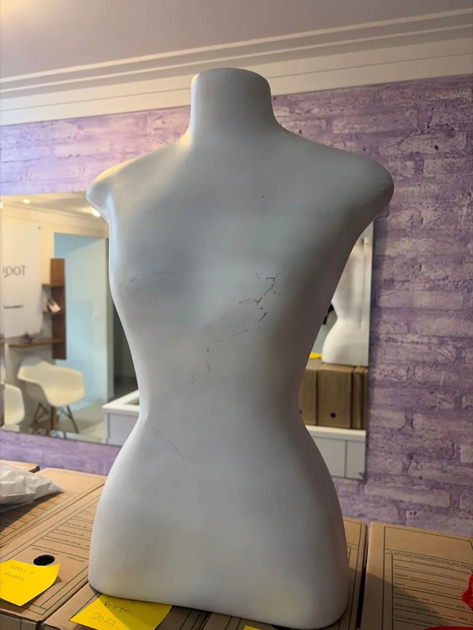 Manequim Meio Corpo Feminino