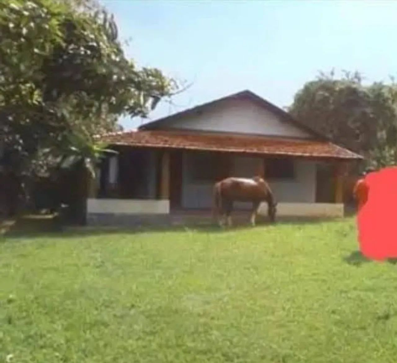 Fazenda em Taubaté  - Foto 3