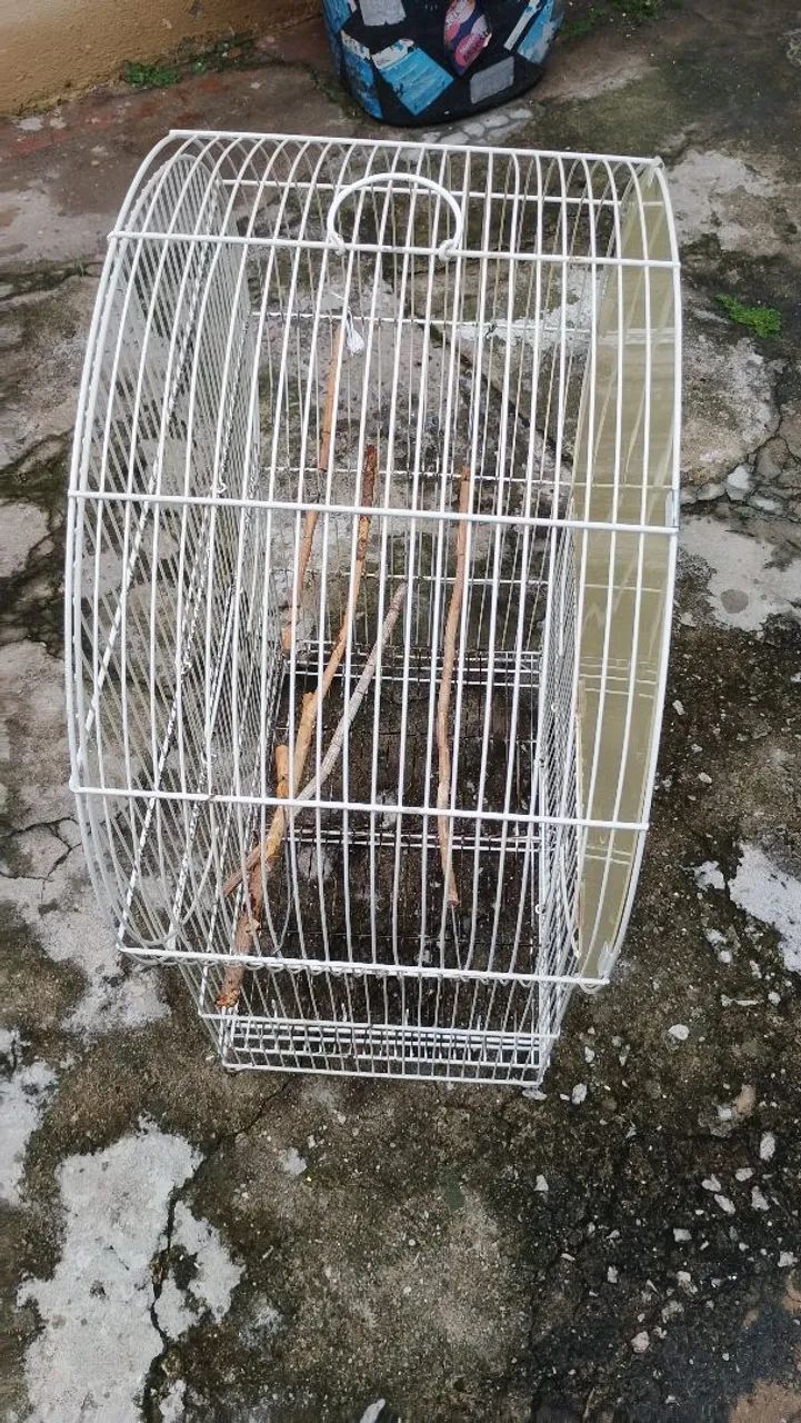 Viveiro para pássaros - Foto 4
