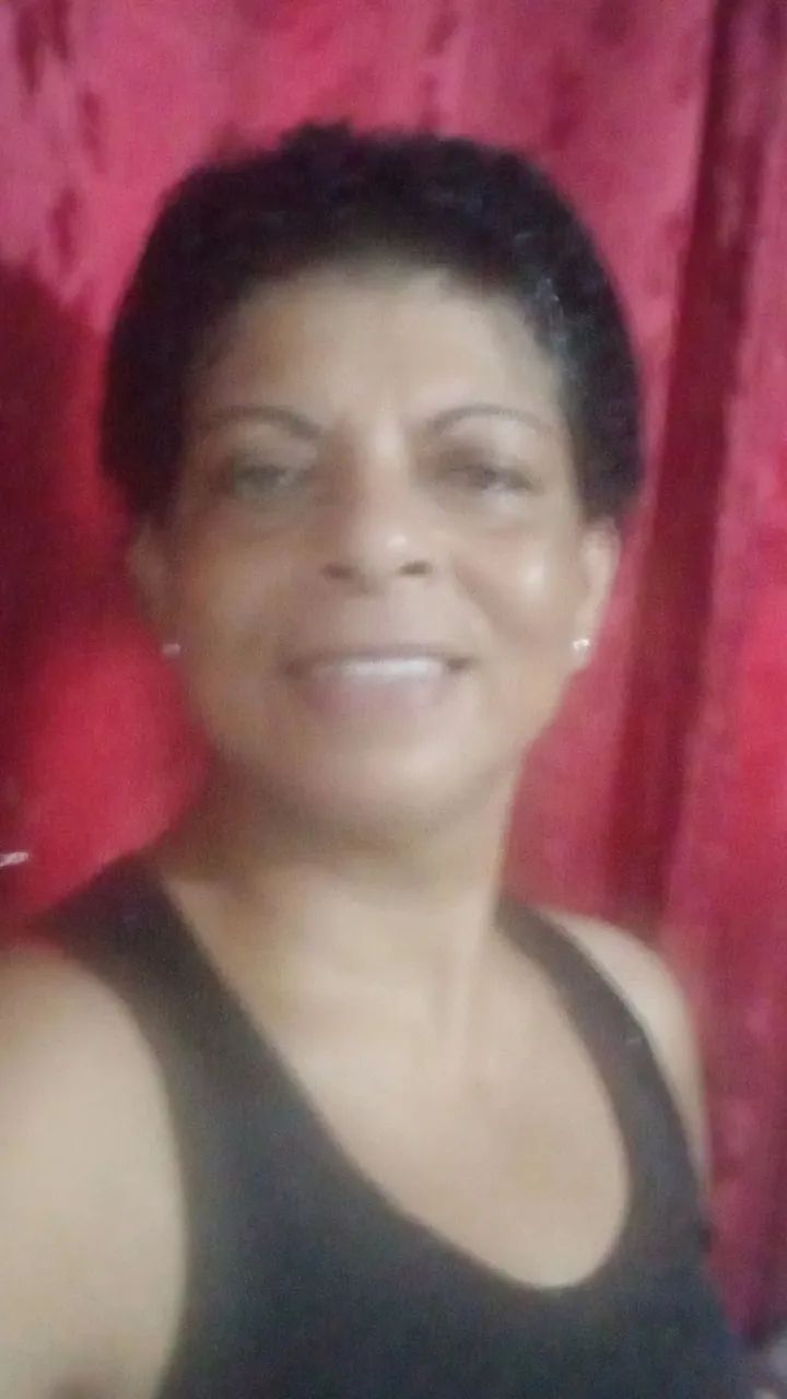 Diarista 