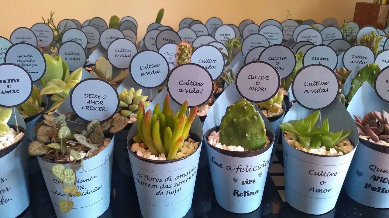 Lembrancinhas com suculentas  - Foto 2