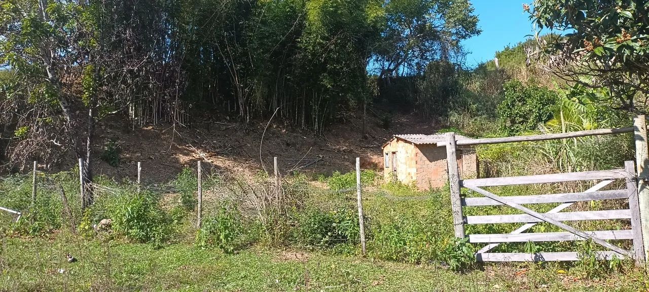 Chacrinha em Ferros  - Foto 3