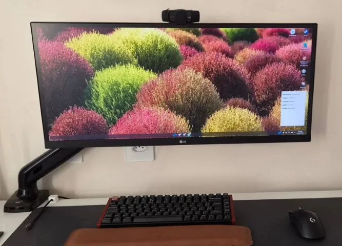 Monitor LG 29" UltraWide Full HD 75Hz