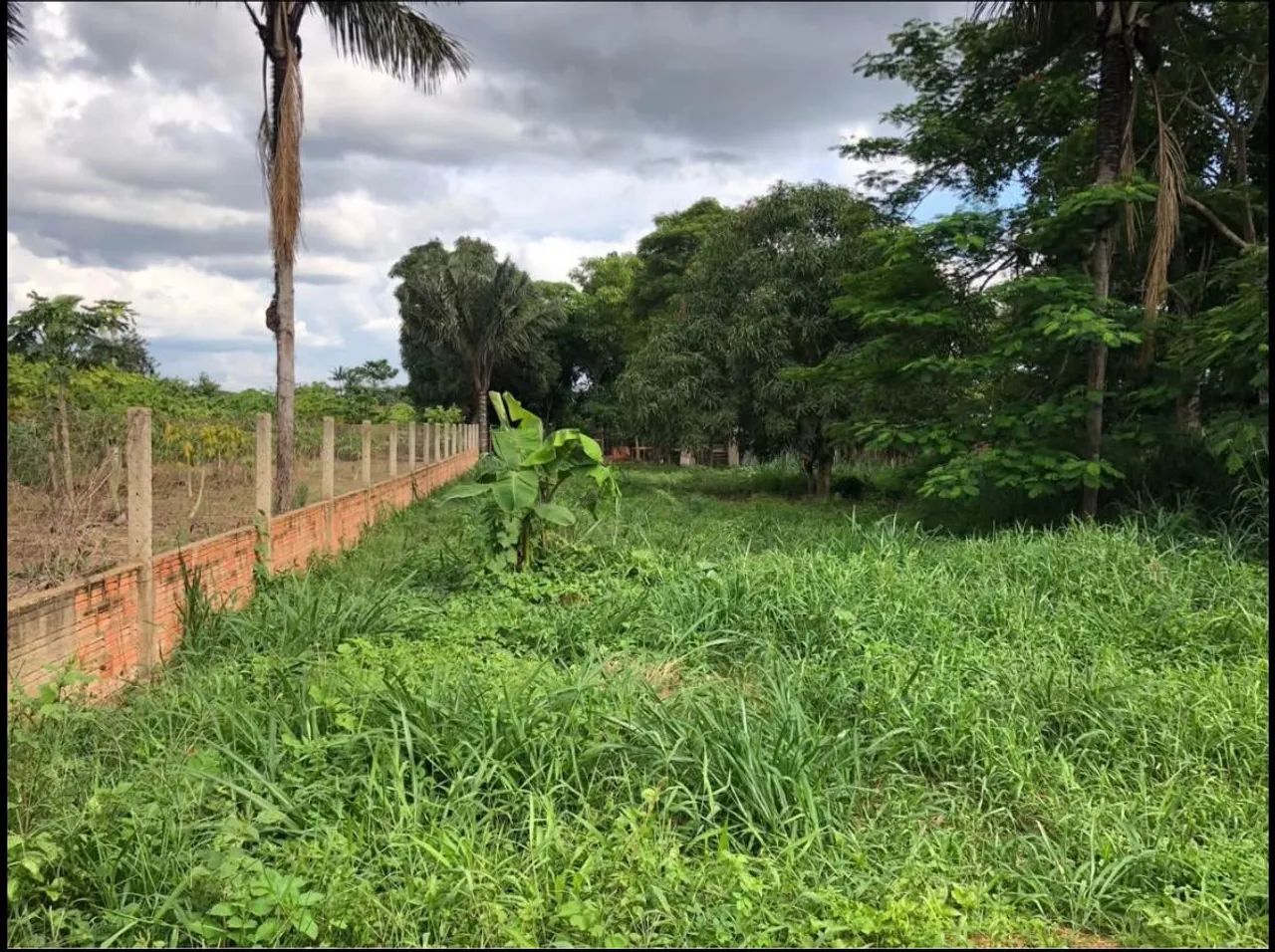Foto - Porto Velho - Cidade Jardim