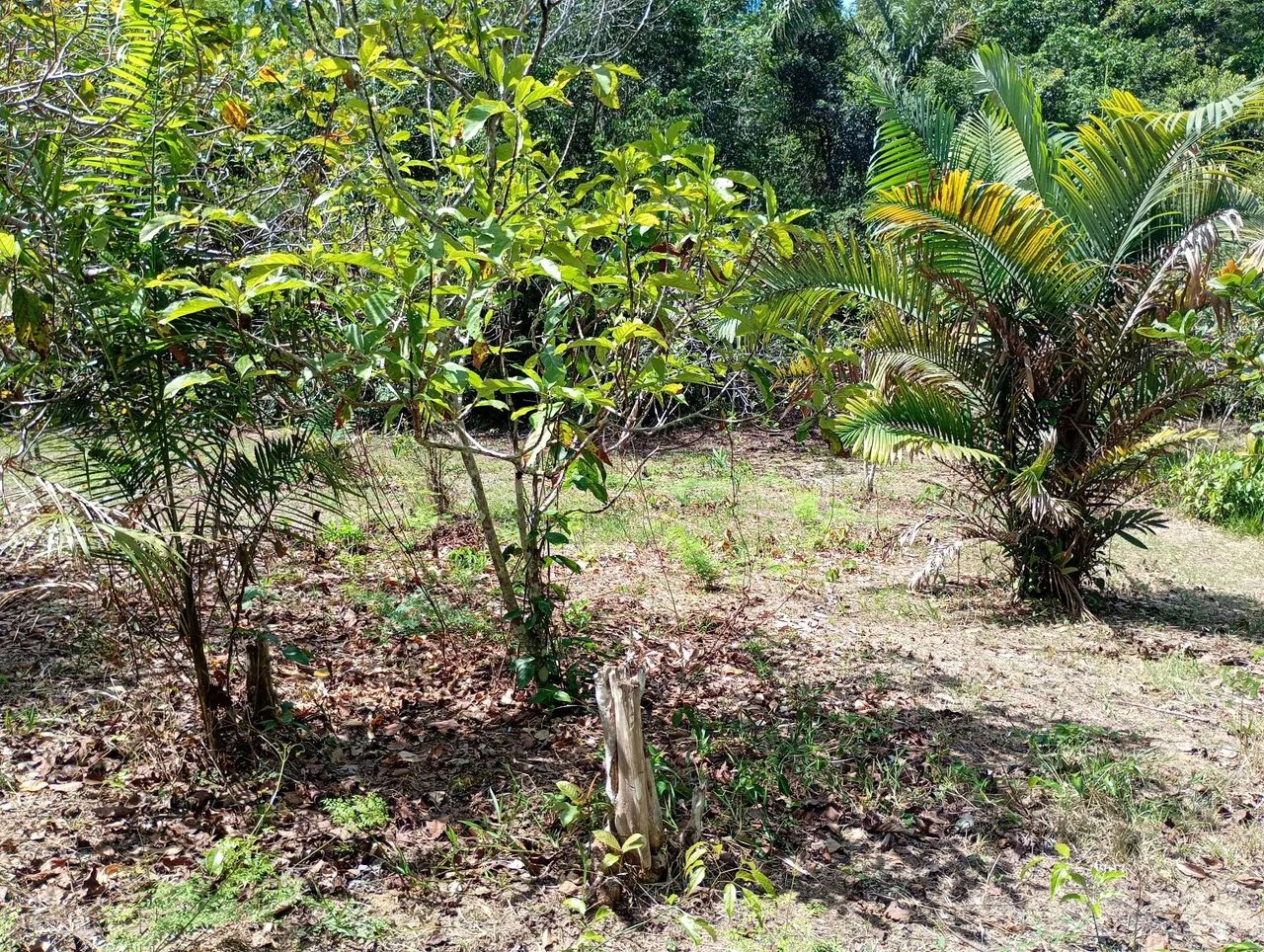 Tamanho 100 x200