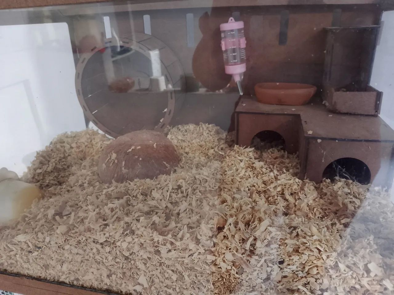 Terrário para roedores 415075050141132802