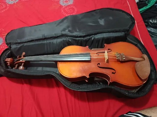 Viola erudita VK 160 Eagle