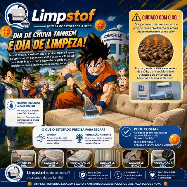 Lavagem a seco:.:.: seu estofado limpo e seguro :::