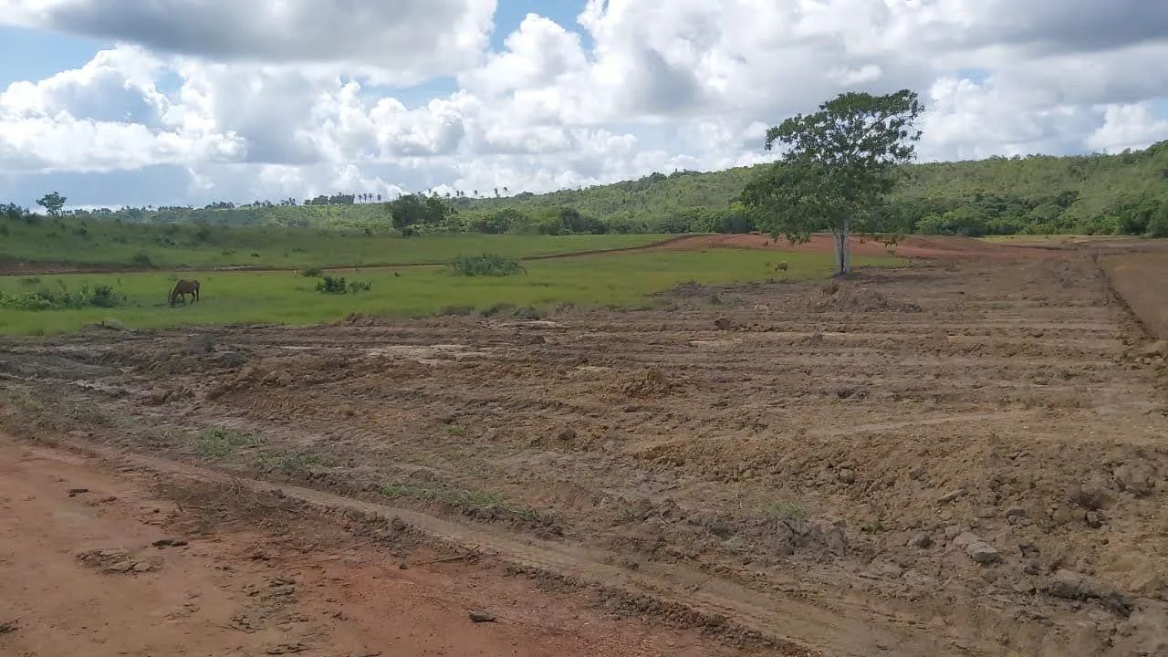 Terreno no interior de salgado.