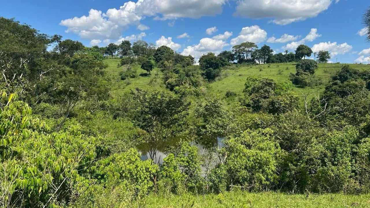 Chácara de 4.3 alqueires em Avelinópolis-Go  - Foto 5