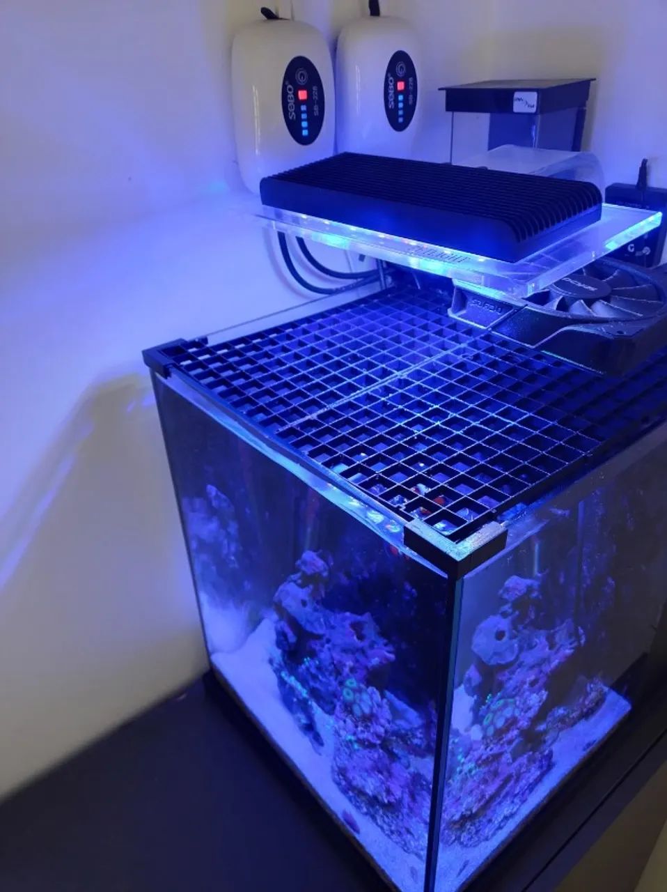 Aquário Marinho completo 51L