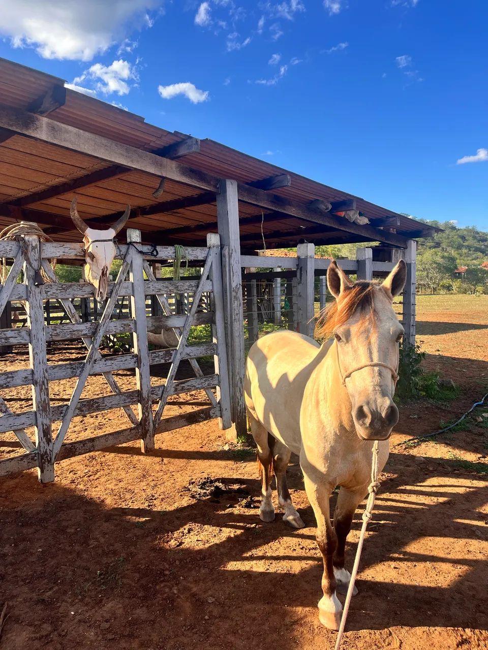 PIQUIRA A VENDA  - Foto 2