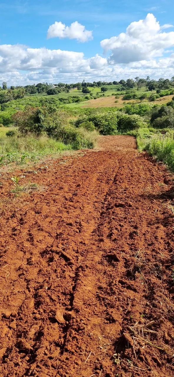 Terreno em Feira Nova-PE com 16 X 180m - Foto 5