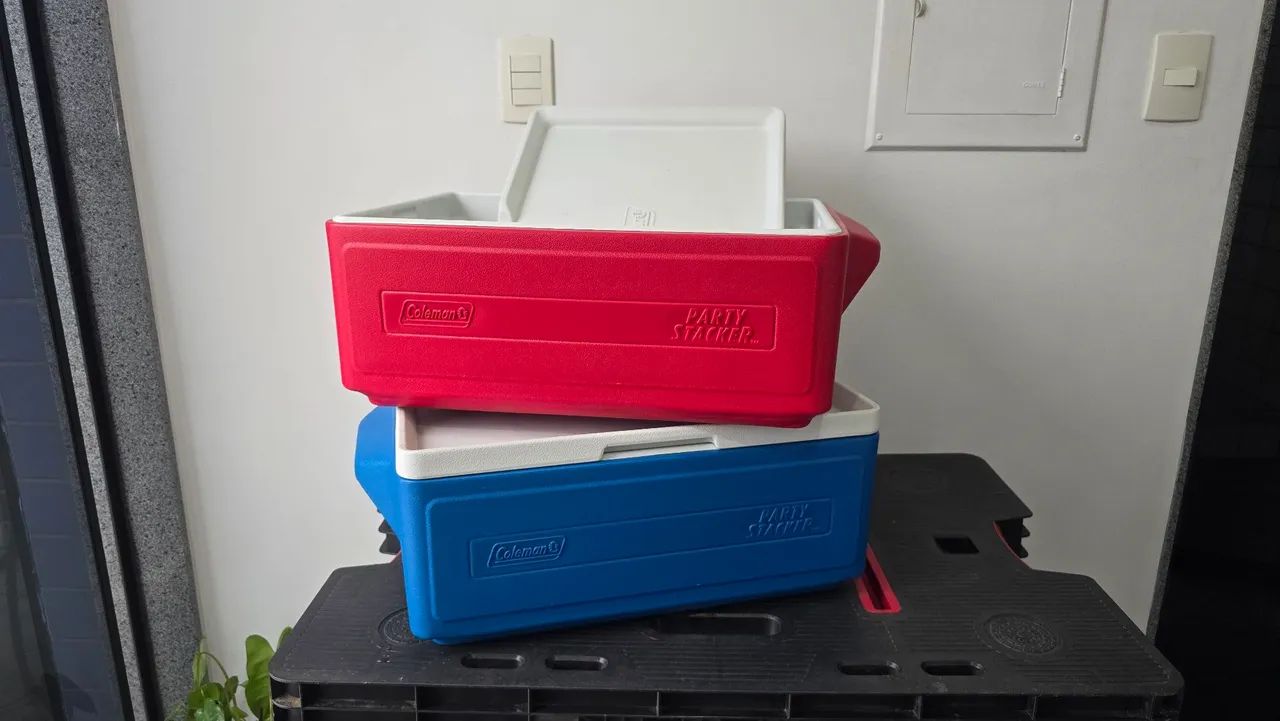 Kit 2 caixas térmicas 23l